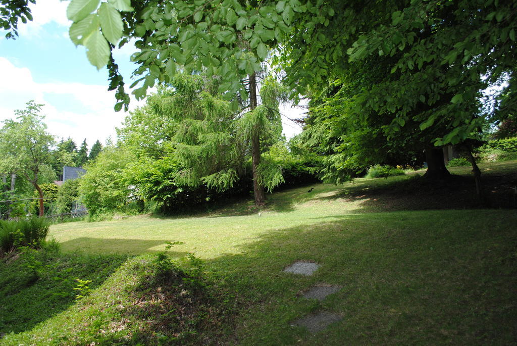 Panorama Hotel Pension Frohnau Bad Sachsa Quarto foto